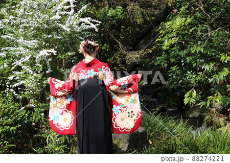 ユキヤナギのある小川の側で立っている袴姿の女性の後ろ姿 ユキヤナギのある小川の側で立っている袴姿の女性の後ろ姿 88274221
