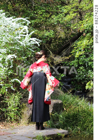 ユキヤナギのある小川の側で立っている袴姿の女性の後ろ姿 ユキヤナギのある小川の側で立っている袴姿の女性の後ろ姿 88274228