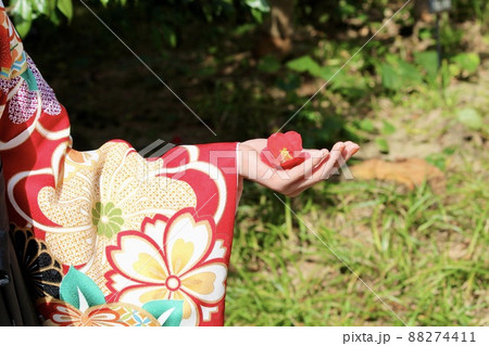 袴を着た女性の手のひらに椿の花が一輪 袴を着た女性の手のひらに椿の花が一輪 88274411
