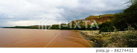 Landscape of Langano lake coastline, Oromia, Ethiopia 88274432