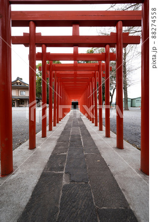 埼玉県東松山市の箭弓稲荷神社 埼玉県東松山市の箭弓稲荷神社 88274558