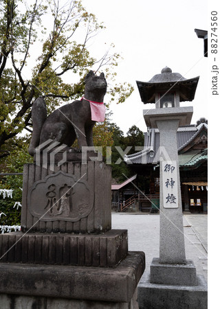 埼玉県東松山市の箭弓稲荷神社 88274560