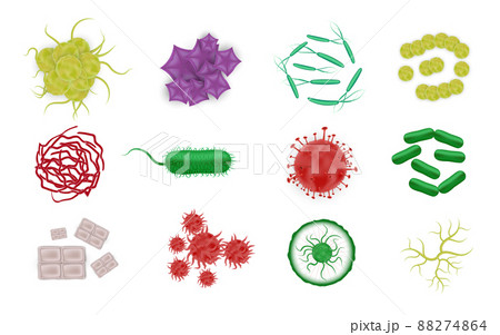 Bacteria Shapes Realistic Icons 88274864