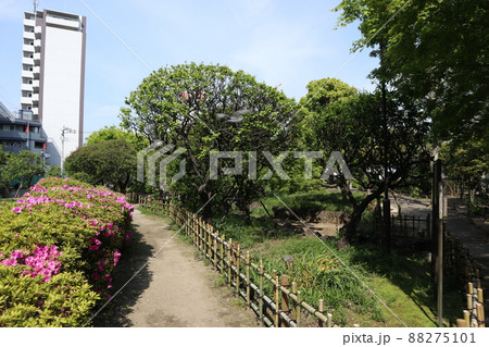 聖蹟梅屋敷公園 聖蹟梅屋敷公園 88275101