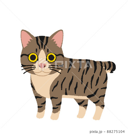 マンクスの猫イラスト 88275104
