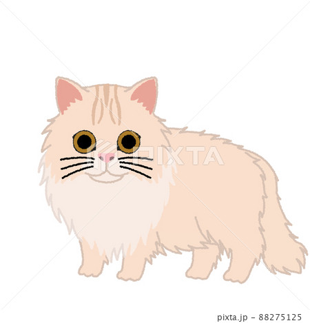 ペルシャの猫イラスト 88275125