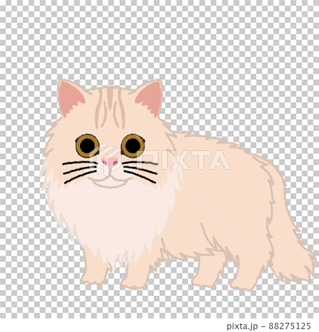ペルシャの猫イラスト 88275125
