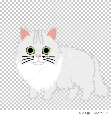 チンチラ（ペルシャ）の猫イラスト 88275126