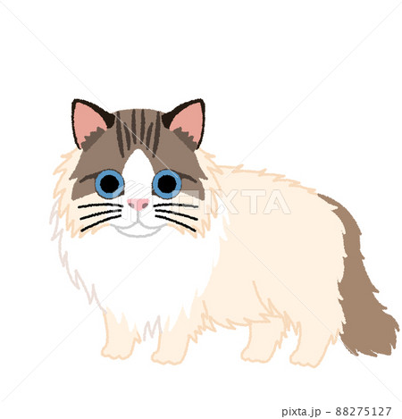 ラガマフィンの猫イラスト 88275127