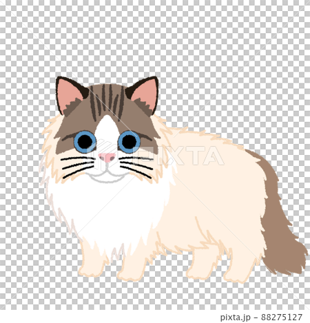 ラガマフィンの猫イラスト 88275127