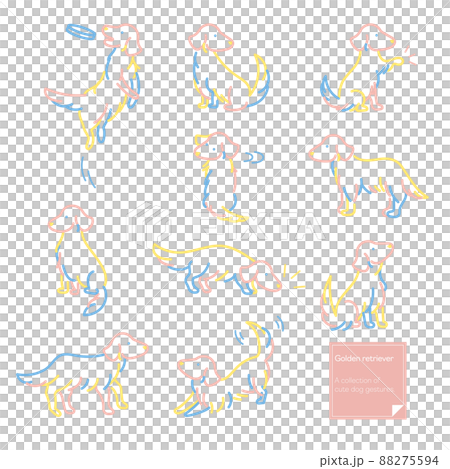 Golden retriever natural line drawing illustration Golden retriever natural line drawing illustration 88275594