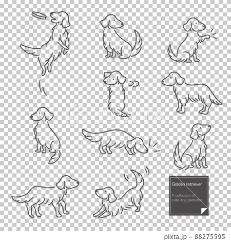 Golden retriever handwritten style illustration set 88275595