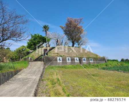 木牟礼城跡　桜の咲くころ　高尾野町江内　出水市　鹿児島県 88276574