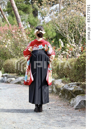 桜の木下で一人立っている、袴姿の女性。全身。 桜の木下で一人立っている、袴姿の女性。全身。 88277091