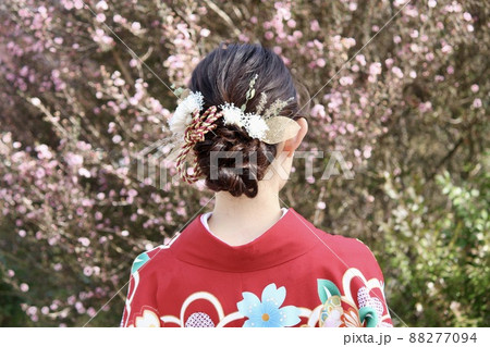 袴姿の女性の後ろ姿 袴姿の女性の後ろ姿 88277094