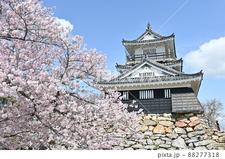 浜松城天守閣 浜松城天守閣 88277318