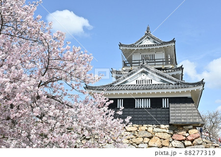 浜松城天守閣 88277319