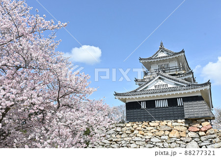 浜松城天守閣 浜松城天守閣 88277321