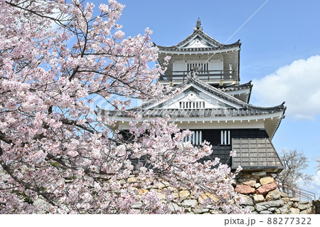 浜松城天守閣 88277322