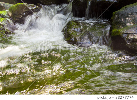 Waterfalls of the rainforest are turbulent flowing in Rainy season Waterfalls of the rainforest are turbulent flowing in Rainy season 88277774