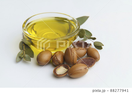 Argan seeds and oil isolated on a white background. Argan oil nuts with plant. Cosmetics and natural oils background Argan seeds and oil isolated on a white background. Argan oil nuts with plant. Cosmetics and natural oils background 88277941