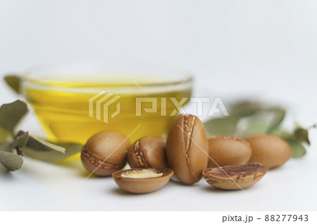 Argan seeds and oil isolated on a white background. Argan oil nuts with plant. Cosmetics and natural oils background 88277943