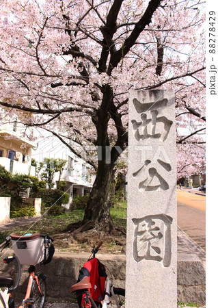 福岡県福岡市西公園 福岡県福岡市西公園 88278429