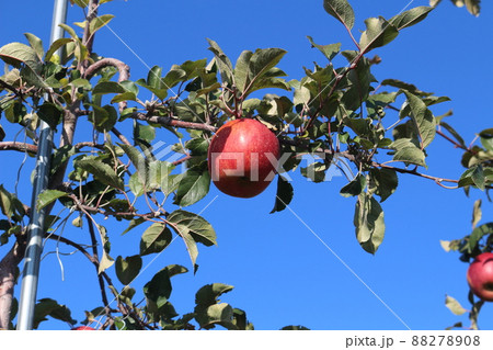 源智の井戸、平成の名水百選 88278908