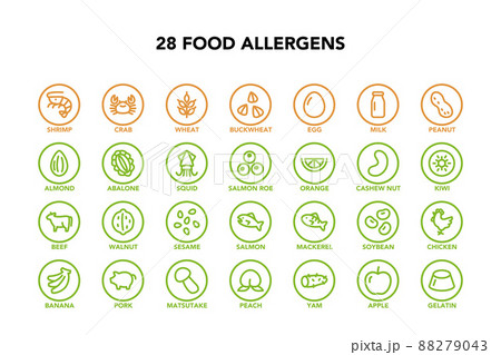 食物アレルギー特定原材料28品目のアイコンセット 88279043