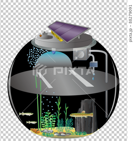 SDGS10 Medaka and Loach Night Aquarium 88279091