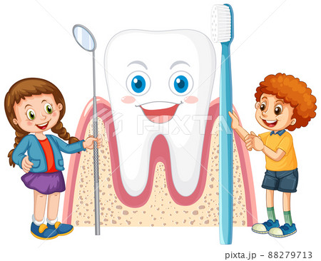 Happy kids holding toothbrush with big tooth on white background Happy kids holding toothbrush with big tooth on white background 88279713