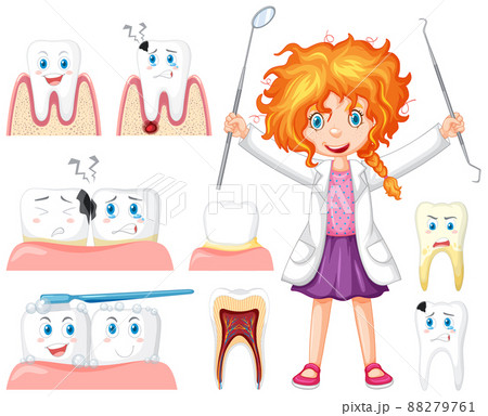 Set of all types of teeth on white background Set of all types of teeth on white background 88279761