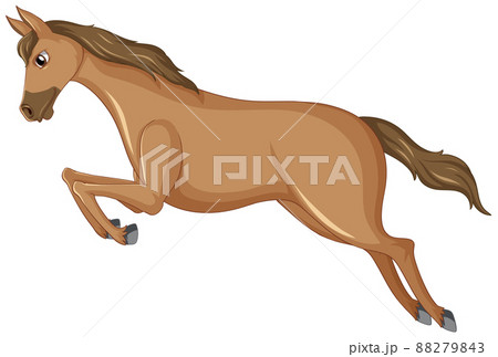 A pretty brown horse on white background A pretty brown horse on white background 88279843