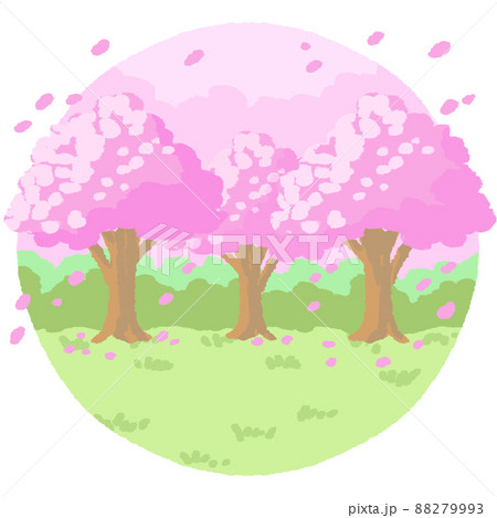 桜満開アイコン(円形) 桜満開アイコン(円形) 88279993