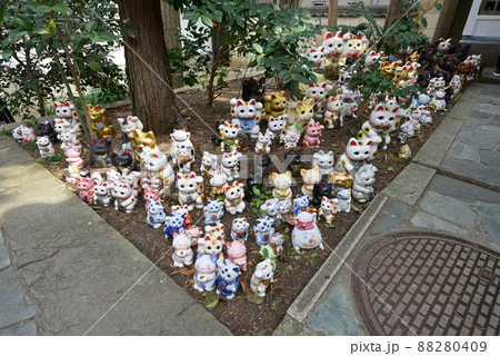 淡嶋神社（和歌山県和歌山市加太） 88280409