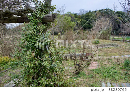 冬枯れのガーデン 88280766