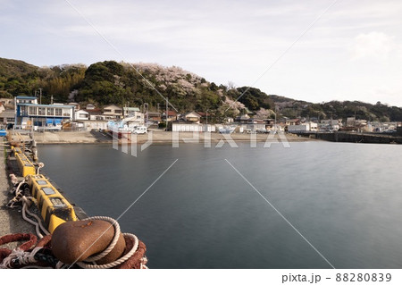 伊東の海辺 88280839