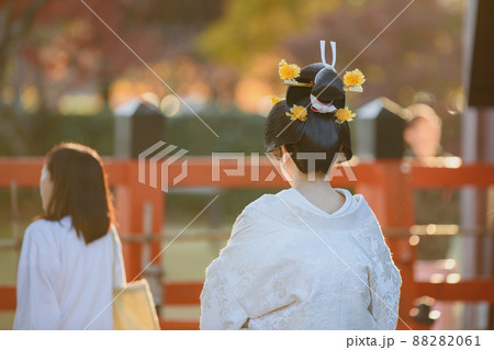 神前式 花嫁の後姿 神前式 花嫁の後姿 88282061