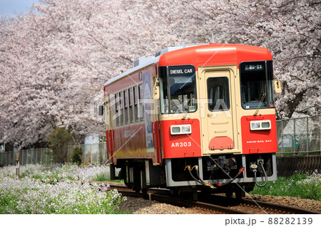 満開の桜とレールバス(甘木鉄道 AR300形) 満開の桜とレールバス(甘木鉄道 AR300形) 88282139