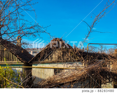 Roofs of old abandoned houses overgrown with dry vines against the blue sky on an autumn day 88283480