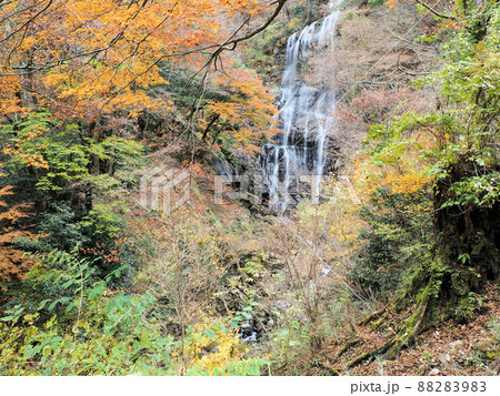 白滝と紅葉 宮崎県西臼杵郡五ヶ瀬町鞍岡 白滝と紅葉 宮崎県西臼杵郡五ヶ瀬町鞍岡 88283983