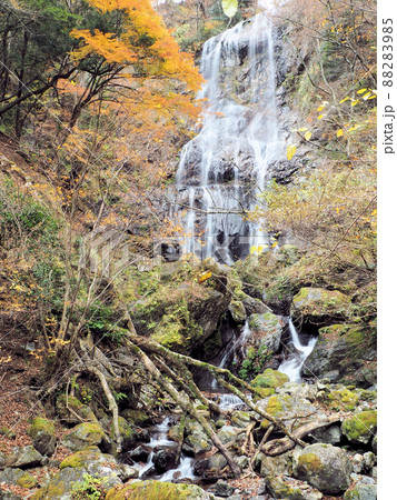 白滝と紅葉 宮崎県西臼杵郡五ヶ瀬町鞍岡 白滝と紅葉 宮崎県西臼杵郡五ヶ瀬町鞍岡 88283985