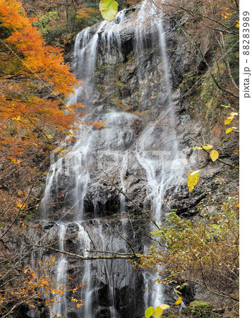 白滝と紅葉 宮崎県西臼杵郡五ヶ瀬町鞍岡 白滝と紅葉 宮崎県西臼杵郡五ヶ瀬町鞍岡 88283989