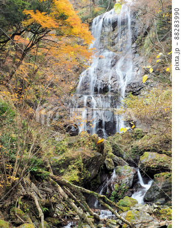 白滝と紅葉 宮崎県西臼杵郡五ヶ瀬町鞍岡 白滝と紅葉 宮崎県西臼杵郡五ヶ瀬町鞍岡 88283990
