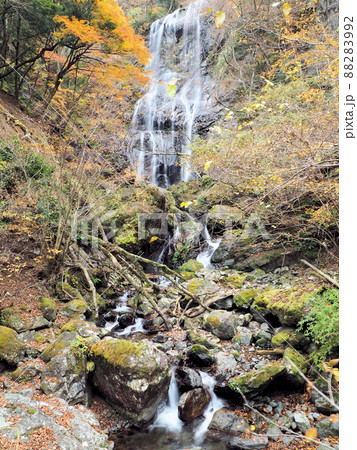 白滝と紅葉 宮崎県西臼杵郡五ヶ瀬町鞍岡 白滝と紅葉 宮崎県西臼杵郡五ヶ瀬町鞍岡 88283992