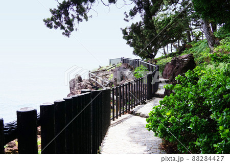 城ヶ崎海岸 城ヶ崎海岸 88284427