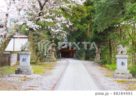 島根県出雲市「天照社参道」 島根県出雲市「天照社参道」 88284993
