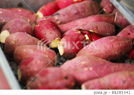 焼いも機に並べられたサツマイモ 88285341