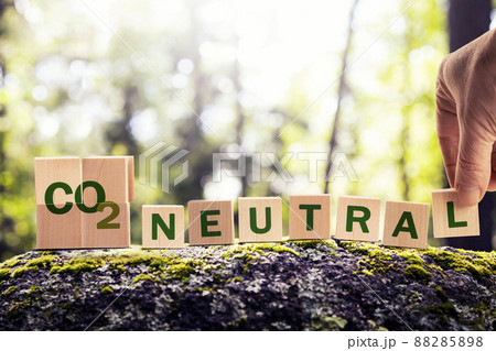 CO2 carbon neutral emission stamp and stamping hand. cubes in the forest on natural stone. climate change, green fuel and earth protect concept. 88285898