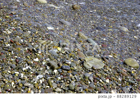 sea pebble beach with multicoloured stones, transparent waves with foam, on a warm summer day sea pebble beach with multicoloured stones, transparent waves with foam, on a warm summer day 88289129